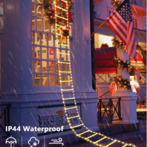 Santa Claus Climbing Ladder Light